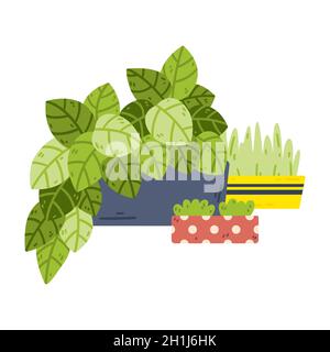 Potted houseplants. Home hobby gardening. Indoor and outdoor landscape garden potted plants. Vector objects isolated on white background. Stock Vector