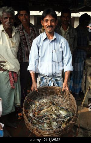 Fish on fish market in Kumrokhali, West Bengal, India Stock Photo