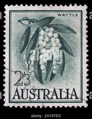 Stamp printed in Australia shows Golden Wattle, Acacia Pycnantha, Tree, circa 1959. Stock Photo