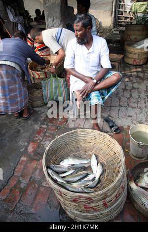 Fish on fish market in Kumrokhali, West Bengal, India Stock Photo