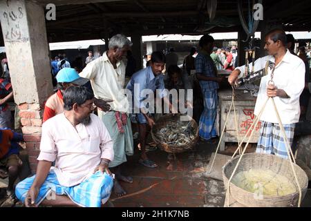 Fish on fish market in Kumrokhali, West Bengal, India Stock Photo