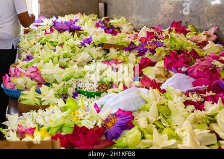 close-up Flowers in a Buddhist temple. Colorful flower offerings to Buddha inside temple of the sacred Bodhi Tree in Anuradhapura, Sri Lanka. The act Stock Photo