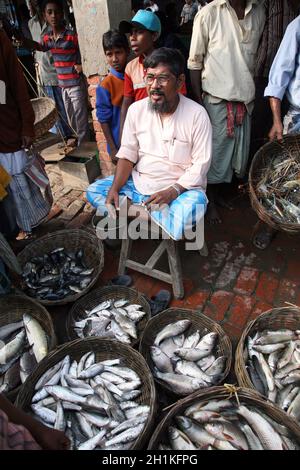 Fish on fish market in Kumrokhali, West Bengal, India Stock Photo