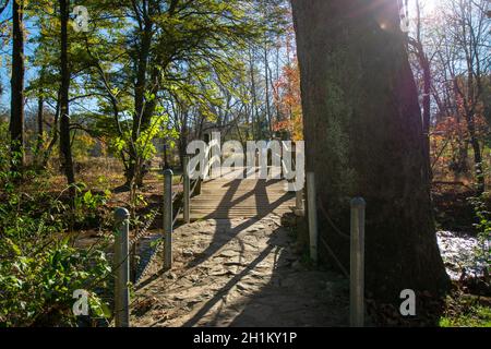 A Wooden Bridge on a Clear Autumn Day With the Sun Shining Brightly Behind a Tree at Valley Forge National Historical Park Stock Photo
