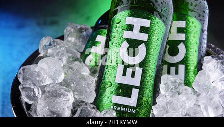 POZNAN, POL - OCT 8, 2020: Bottles of Lech, a brand of Polish beer produced by Kompania Piwowarska, a subsidiary of  Asahi Breweries Stock Photo