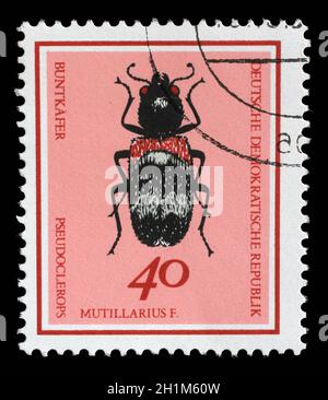 Stamp printed in GDR from the Useful Beetles issue shows Clerus mutillarius, circa 1968. Stock Photo