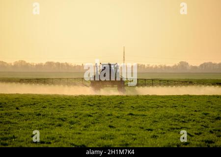 Tractor with high wheels is making fertilizer on young wheat. The use of finely dispersed spray chemicals. Tractor on the sunset background. Stock Photo