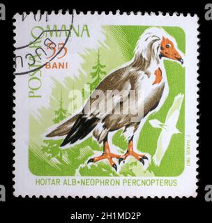 Stamp printed by Romania, shows Egyptian vulture, circa 1967 Stock Photo