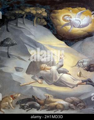 Annunciation to the Shepherds, fresco by Taddeo Gaddi (1295-1366), Baroncelli Chapel in the Basilica di Santa Croce (Basilica of the Holy Cross) - fam Stock Photo