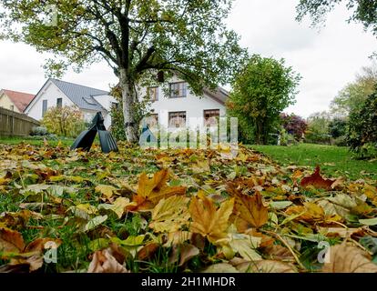 Herbstlaub auf dem Rasen vor einem Einfamilienhaus im Landhaus-Stil, Weilerswist, Nordrhein-Westfalen, Deutschland Stock Photo