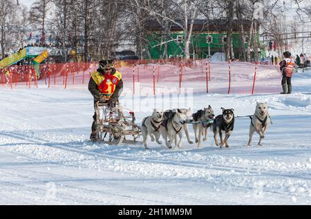 ESSO VILLAGE, KAMCHATKA, RUSSIA - MARCH 4, 2019: Running dog sledge team Kamchatka musher. Kamchatka Sled Dog Racing Beringia. Russian Far East, Kamch Stock Photo