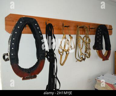 Elements of harness horses, hanging on a hanger. Stock Photo
