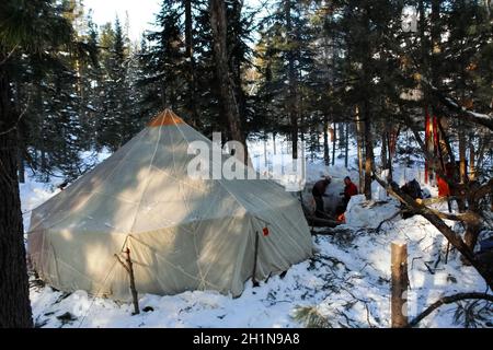 A large tourist tent in the winter forest. Stock Photo