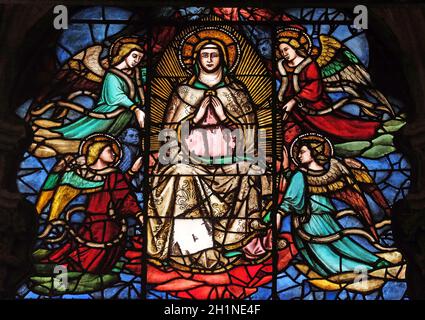 Virgin Mary surrounded by angels, stained glass window in Orsanmichele Church in Florence, Tuscany, Italy Stock Photo