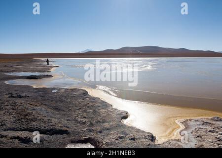 Bolivian lagoon view,Bolivia. Kollpa Kkota lagoon view. Collpa Laguna Stock Photo