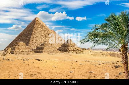 Palm tree near egyptian pyramids in desert of Giza, Cairo Stock Photo ...