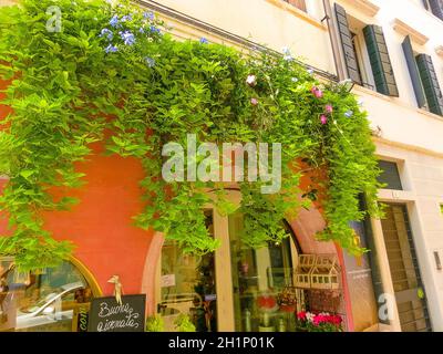 Treviso, Italy - September 11, 2014: The shop in the centre of Treviso, Italy on September 11, 2014: . Stock Photo