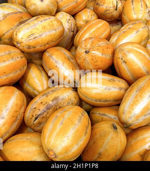 The Farmer put the melon together. Stock Photo