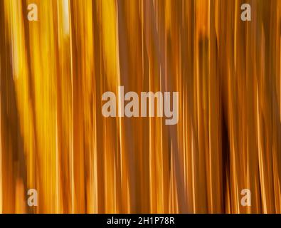 Abstract landscape photo  Stock Photo