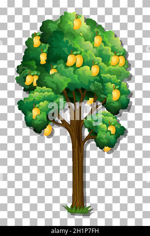 Mango tree on transparent background illustration Stock Vector