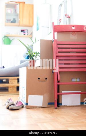 Move. Cardboard boxes, cleaning stuff and things for moving into a new home Stock Photo