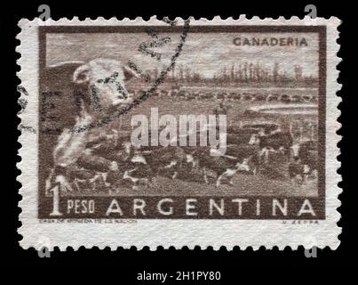 Stamp printed in Argentina shows a heard of beef cattle in the Argentinean walking through a gate in a fence, circa 1954. Stock Photo