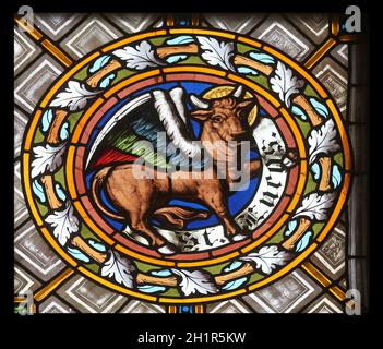 Symbols of the Saint Luke the Evangelist, stained glass window in the parish church of St. Peter and Paul in Oberstaufen, Germany Stock Photo