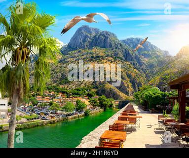 Cafe near the fortification of Kotor, Campana Tower old town, Montenegro Stock Photo