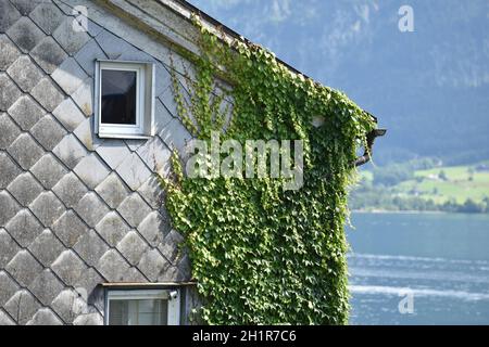 Sankt Wolfgang am Wolfgangsee, Bezirk Gmunden, Salzkammergut, Oberösterreich, Österreich, Europa - Sankt Wolfgang on Lake Wolfgangsee, Gmunden distric Stock Photo