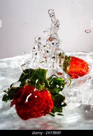 Strawberries falling into clear water isolated on a white background Stock Photo