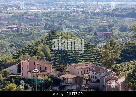 Picturesque hills with vineyards of the Prosecco sparkling wine region in Santo Stefano. Italy. Stock Photo