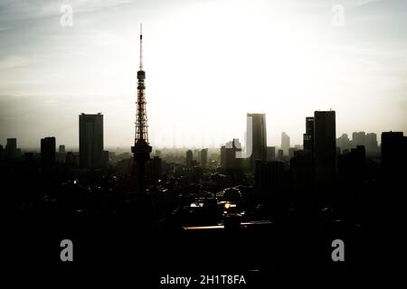 Tokyo Tower and Tokyo skyline that evening refers. Shooting Location: Tokyo metropolitan area Stock Photo