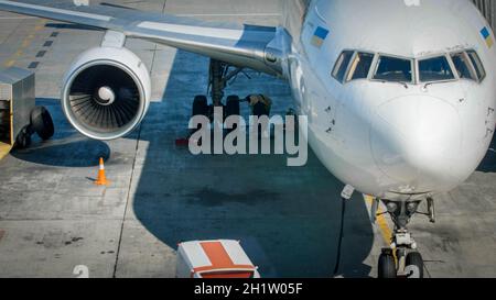 Professional mechanics in airport ground crew checking airplane chassis before flight. Stock Photo