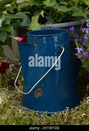 A blue campers tea pot next to some flowers in the garden. Stock Photo