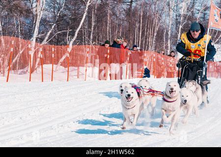 ESSO VILLAGE, KAMCHATKA, RUSSIA - MARCH 4, 2019: Running dog sledge team Kamchatka musher. Kamchatka Sled Dog Racing Beringia. Russian Far East, Kamch Stock Photo