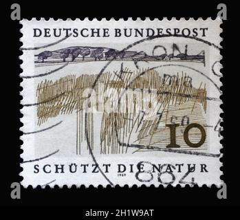 Stamp printed in Germany showing a landscape: lowland, European Nature Preservation Year, circa 1969 Stock Photo