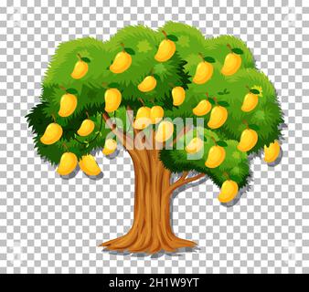 Mango tree on transparent background illustration Stock Vector