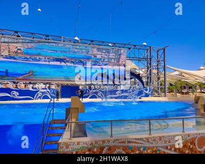 Belek, Antalya, Turkey - May 15, 2021: The Dolphins on creative entertaining show at Land of Legends theme park in Belek. Stock Photo