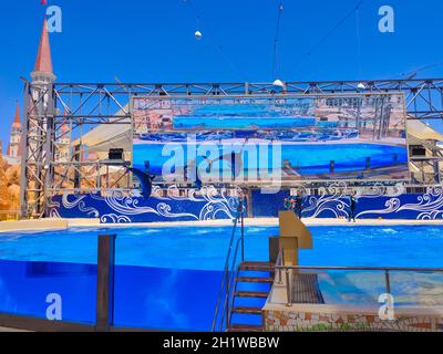 Belek, Antalya, Turkey - May 15, 2021: The Dolphins on creative entertaining show at Land of Legends theme park in Belek. Stock Photo