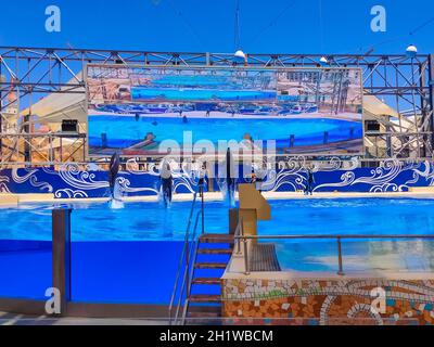 Belek, Antalya, Turkey - May 15, 2021: The Dolphins on creative entertaining show at Land of Legends theme park in Belek. Stock Photo