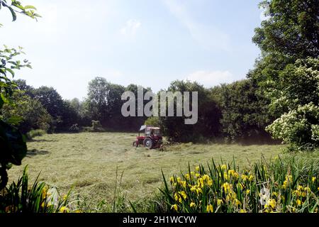 Heuernte im Naturschutzgebiet Obststreuwiesen Erftaue, Weilerswist, Nordrhein-Westfalen, Deutschland