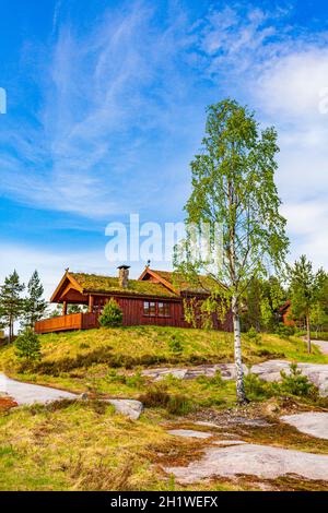 Norwegian wooden cabins cottages in the nature and mountain landscape of Treungen in Nissedal Norway. Stock Photo