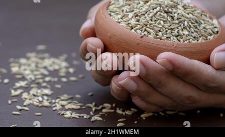 Fennel seeds in a small clay bowl on an holding hand. Fennel seeds over dark background. Stock Photo