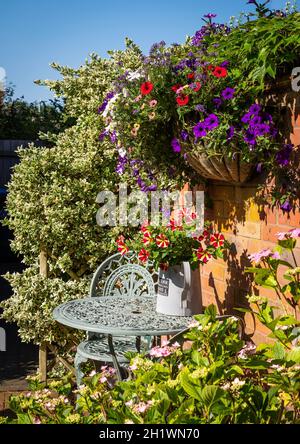 A painted cast iron garden chair and table against a sunny English garden wall with trailing and colourful petunias and a decorative watering can. Stock Photo