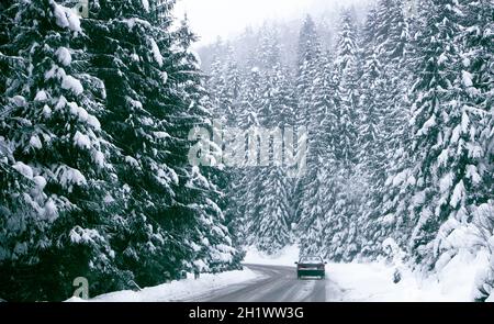 The car moves carefully on a mountain road covered with snow through a dense forest with tall spruce trees. Danger on the road due to snow that covere Stock Photo