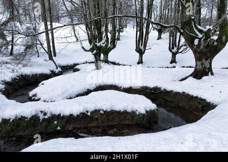stream running through the otzarreta forest in the snowy mountains of bizkaia in winter Stock Photo