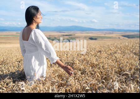 Young Woman in white dress standing on golden wheat field at sunny day, touching gently the wheat spikes. High quality photo. Stock Photo