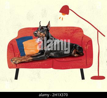 Contemporary art collage, modern creative design. Idea, inspiration, care, trend magazine style. Doberman dog resting on sofa Stock Photo