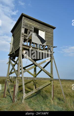 Isolated derelict wooden hut on stilts.  Look out post standing high against a blue sky in summer sunshine Stock Photo