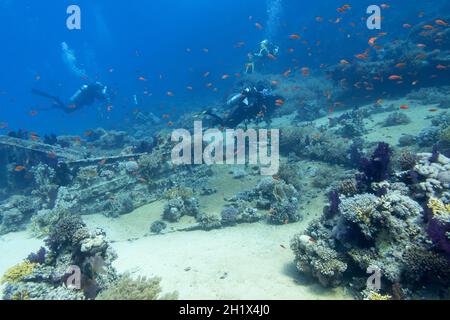 Sharm el Sheikh, Red Sea, Egypt - November 20, 2019: Colorful coral reef at the bottom of tropical sea,  group of divers over an old shipwreck on the Stock Photo